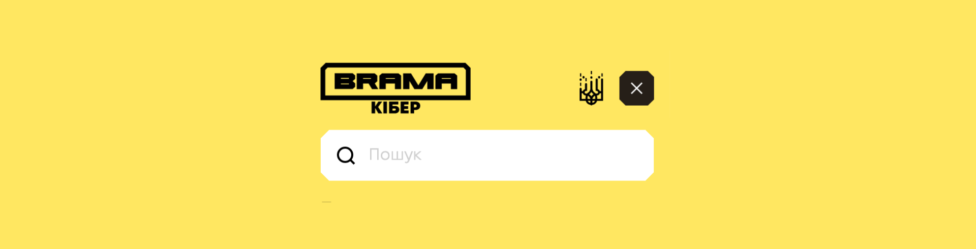 A Website Built for Cyberpolice of Ukraine to Withstand Cyberattacks and Educate a Nation on Online Safety